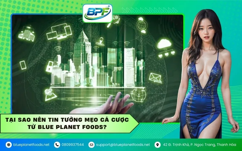 Tại sao nên tin tưởng mẹo cá cược từ Blue Planet Foods